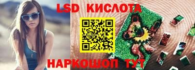 прущие грибы Будённовск