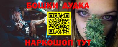 прущие грибы Будённовск