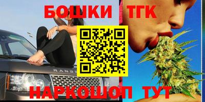 прущие грибы Будённовск