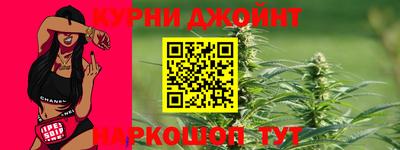 прущие грибы Будённовск