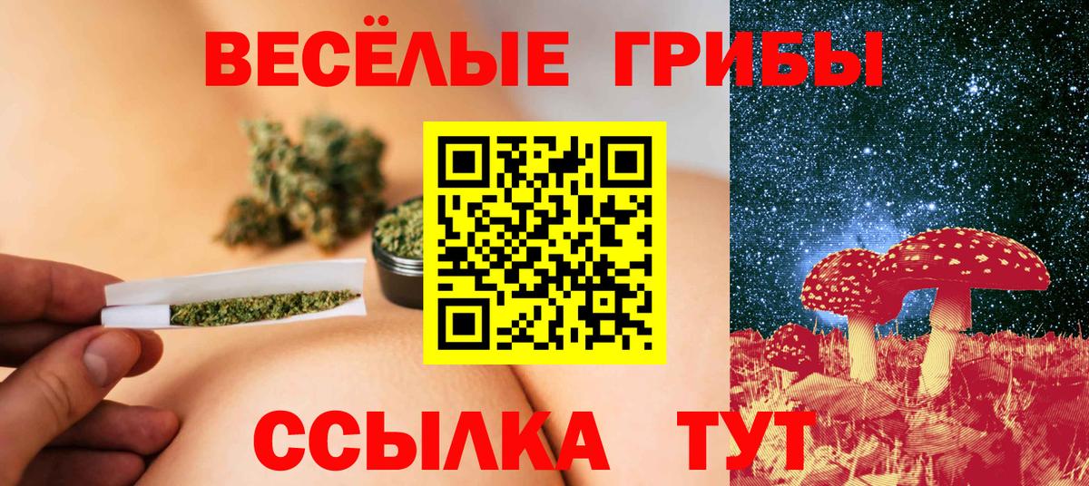 Псилоцибиновые грибы Psilocybe Энгельс