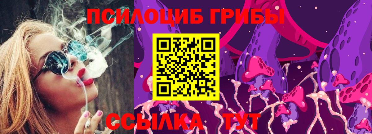 Энгельс  Галлюциногенные грибы Cubensis  Вход с VPN  Галлюциногенные грибы Cubensis 